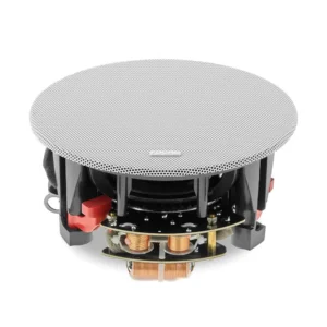 Focal 100 ICW5 T