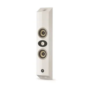 Focal On Wall 301