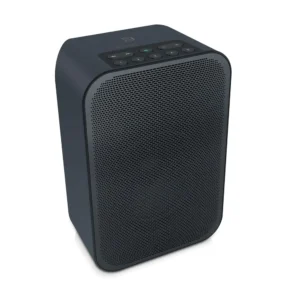 Bluesound Pulse Flex 2i