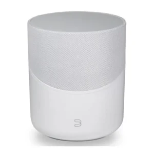 Bluesound Pulse M